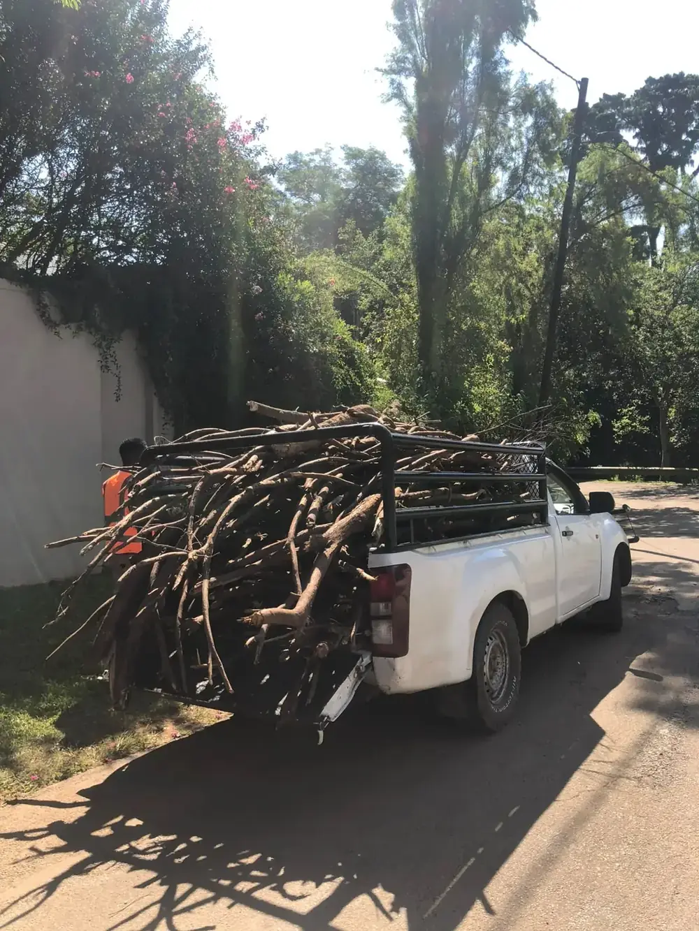 Large garden refuse load