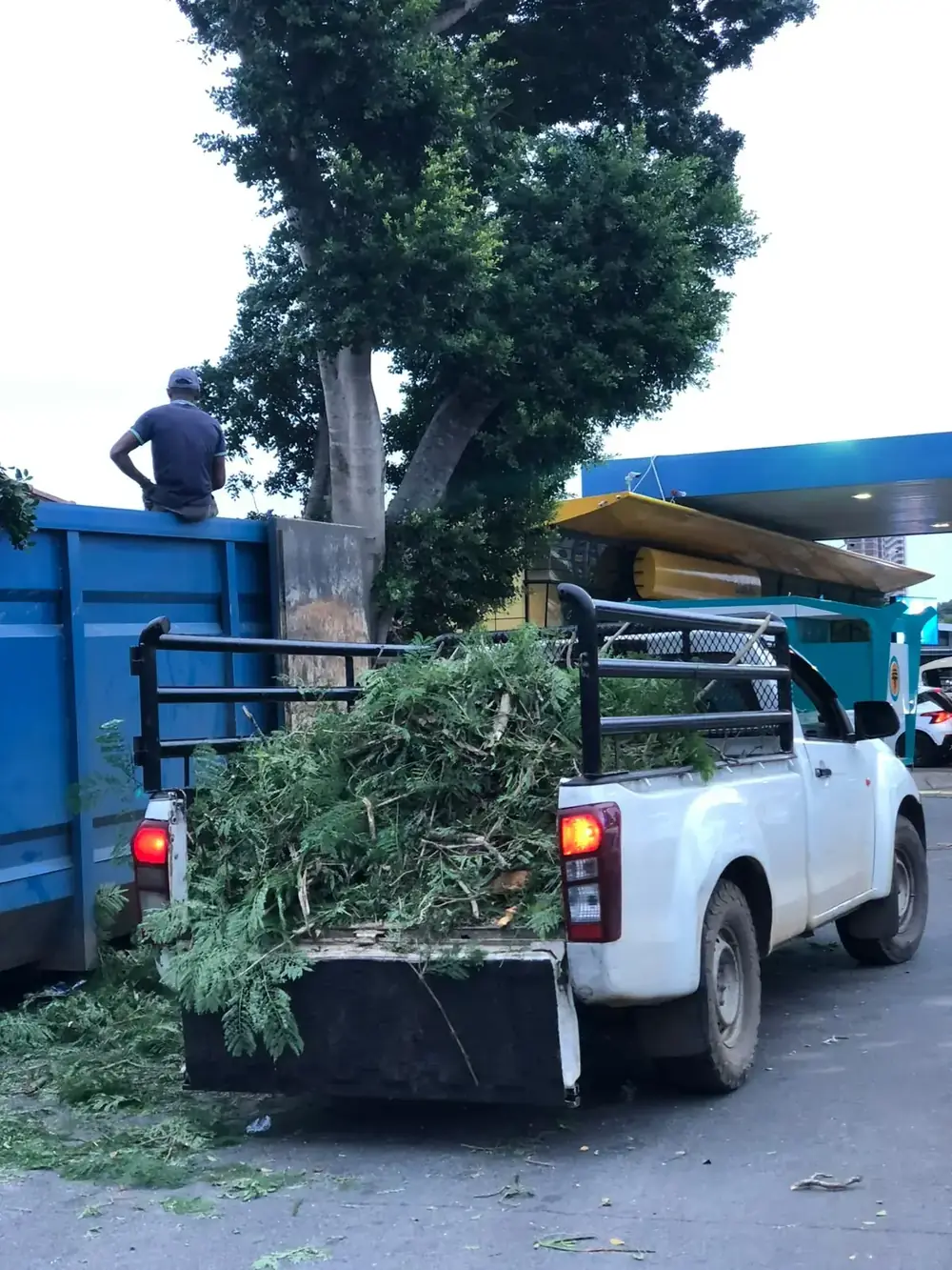 Garden refuse collection by Kenzie's Removals